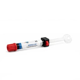 Xcem Merge GIC LC Compomer A2 - 4