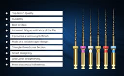 SuperEndo Gold-Flex Rotary Files (Pack of 6) - 6