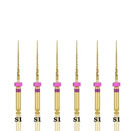 Endo Excellence Nano Gold Rotary Files -21mm S1 (Pack of 6)