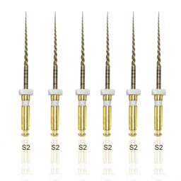 Endo Excellence Nano Gold Rotary Files -25mm S2 (Pack of 6)
