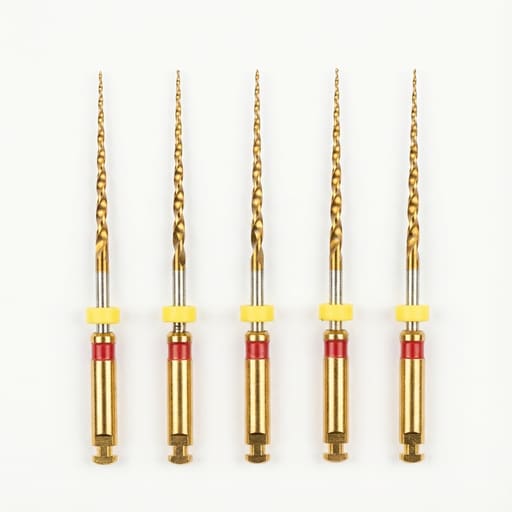 Micro Mega One Curve Mini Rotary Files
