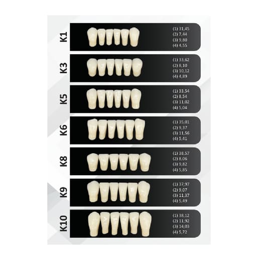 Rubydent CompacZahn Acrylic Denture Teeth A2 (Set of 28)
