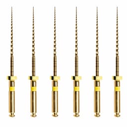 Woodpecker Endo Plus Gold Rotary File 25mm (W2 20/ 0.04)