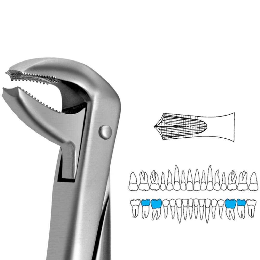 GDC Extraction Forceps Lower Molars - 73 Standard (FX73S)