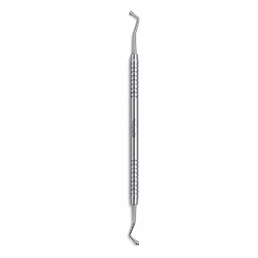 GDC Westcott Burnisher - 1 (Bb21)
