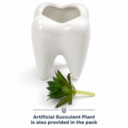 iDENTical Ceramic Tooth Planter with Artificial Succulent Plant - 8