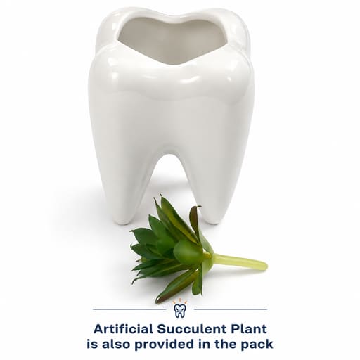iDENTical Ceramic Tooth Planter with Artificial Succulent Plant