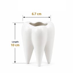 iDENTical Ceramic Tooth-Shaped Pen Holder - 2