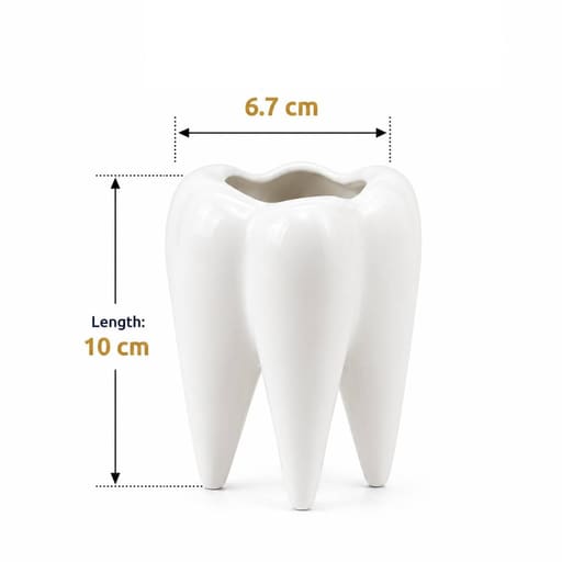 iDENTical Ceramic Tooth-Shaped Pen Holder