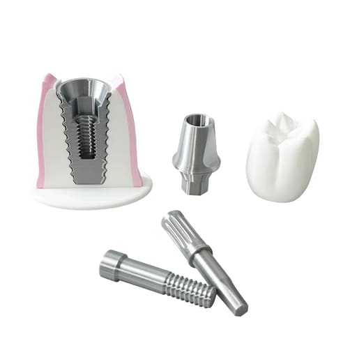 iDENTical Implant Demonstration & Explanation Model