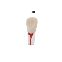 iDENTical Root Canal Treatment Practice Model - 110