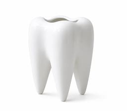 iDENTical Ceramic Tooth-Shaped Pen Holder