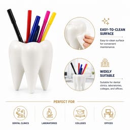 iDENTical Ceramic Tooth-Shaped Pen Holder - 5