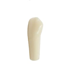 iDENTical Typodonts Lower Left Canine For Frasaco Type Jaw Set Individual M8022 - 33