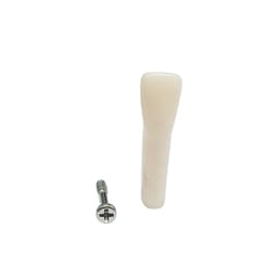 iDENTical Typodonts Lower Left Second Premolar For Nissin Type Jaw Set TJMA09 - Individual - 35
