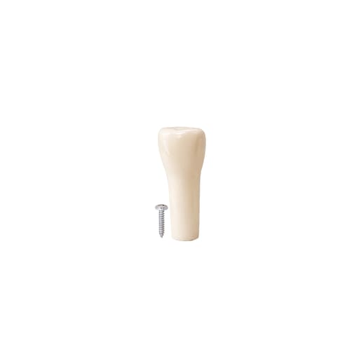 iDENTical Typodonts Upper Right Central Incisor For Nissin Type Jaw Set TJMA09 - Individual - 11