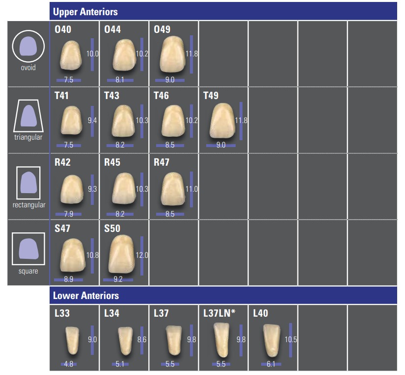 VITA MFT Denture Teeth A1 (Set of 28)