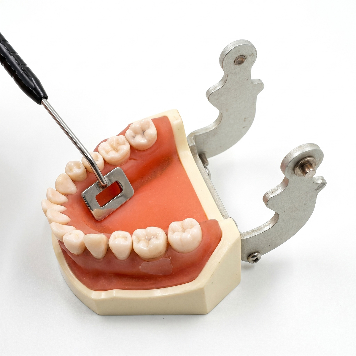 Julldent Gingival Tunneling Template (JULL-DENT 184)