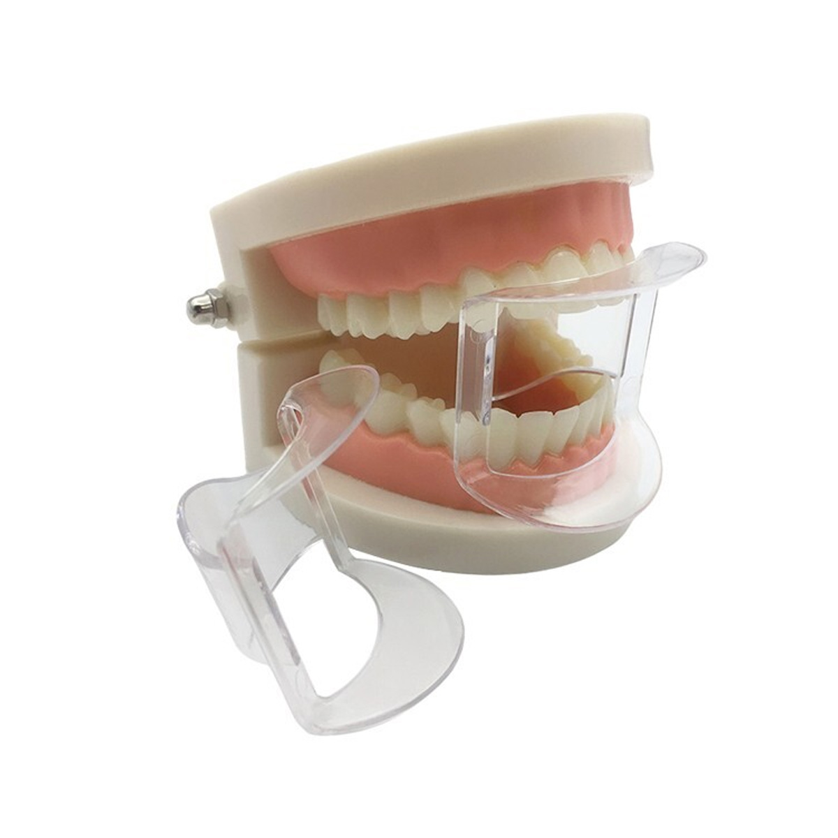 Dental Anterior Mouth Prop | Transparent