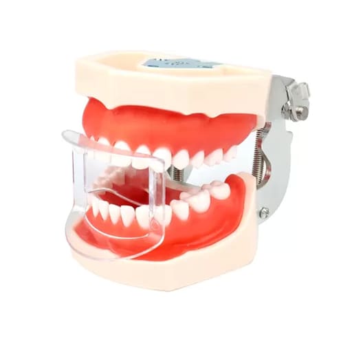 Dental Anterior Mouth Prop | Transparent