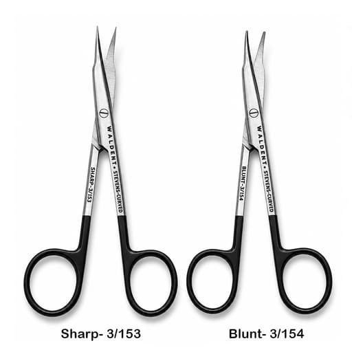 Waldent Stevens Tenotomy Scissors