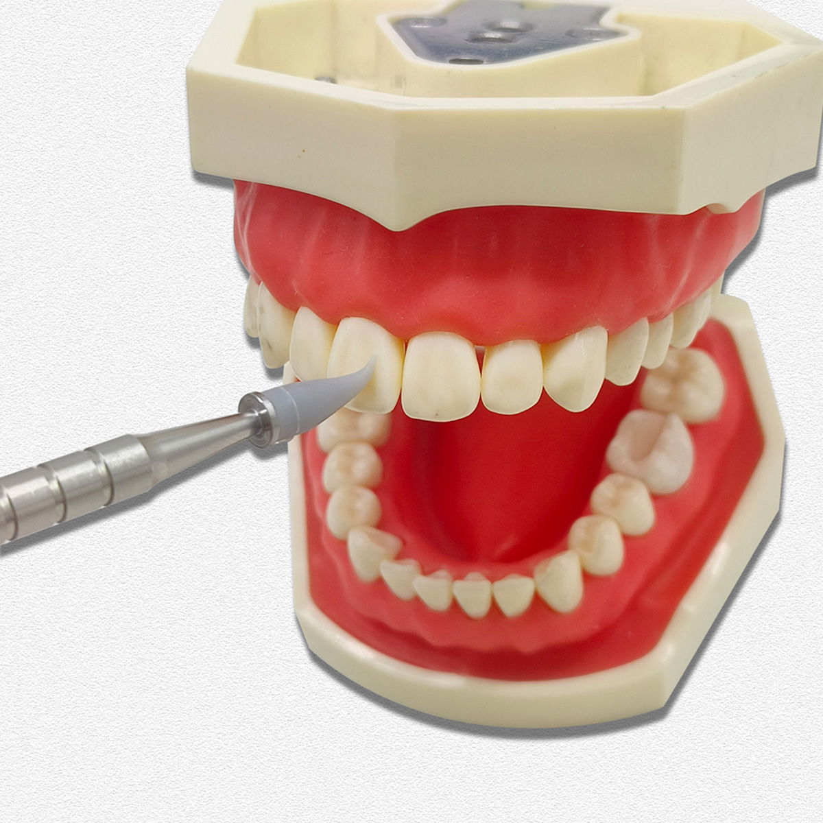 Dental Double-Ended Composite Sculpting Brush | With 6 Interchangeable Tips