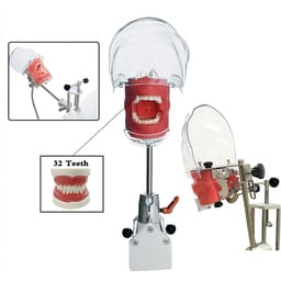 iDENTical Table Mount Portable Dental Manikin (TJ-MA02) - 1