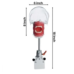 iDENTical Table Mount Portable Dental Manikin (TJ-MA02) - 2