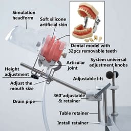 iDENTical Table Mount Portable Dental Manikin (TJ-MA02) - 5