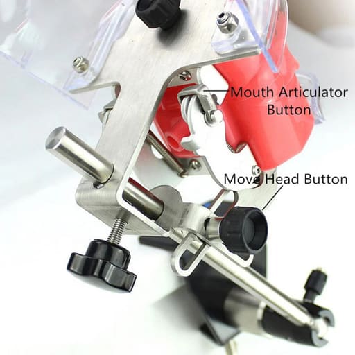 iDENTical Table Mount Portable Dental Manikin (TJ-MA02)