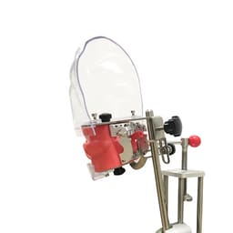 iDENTical Table Mount Portable Dental Manikin (TJ-MA02) - 8