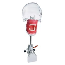 iDENTical Table Mount Portable Dental Manikin (TJ-MA02) - 9