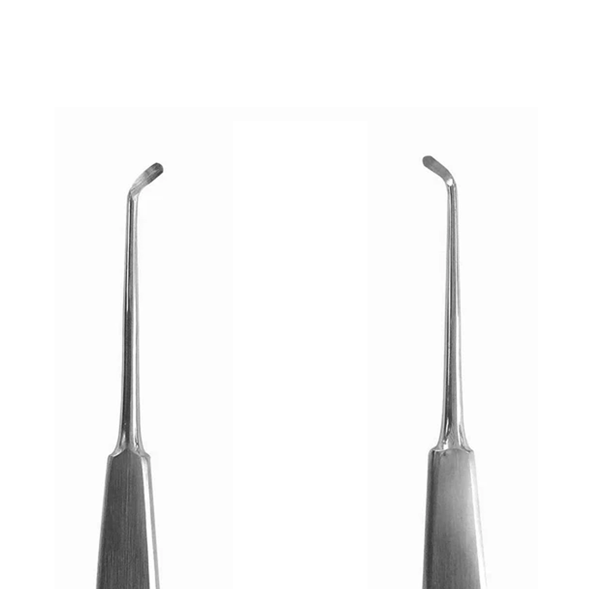 Visa Warwick James Root Elevators