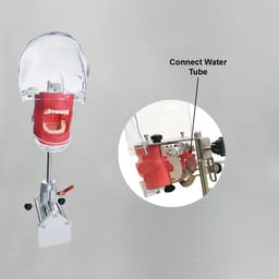 iDENTical Table Mount Portable Dental Manikin (TJ-MA02) - 7