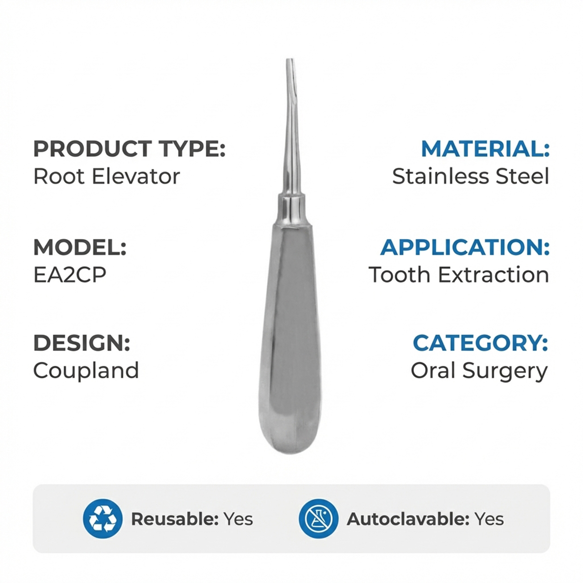 GDC Root Elevator Coupland Ea2Cp