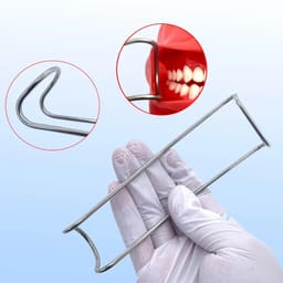 Waldent Sternberg Cheek Retractors - 4
