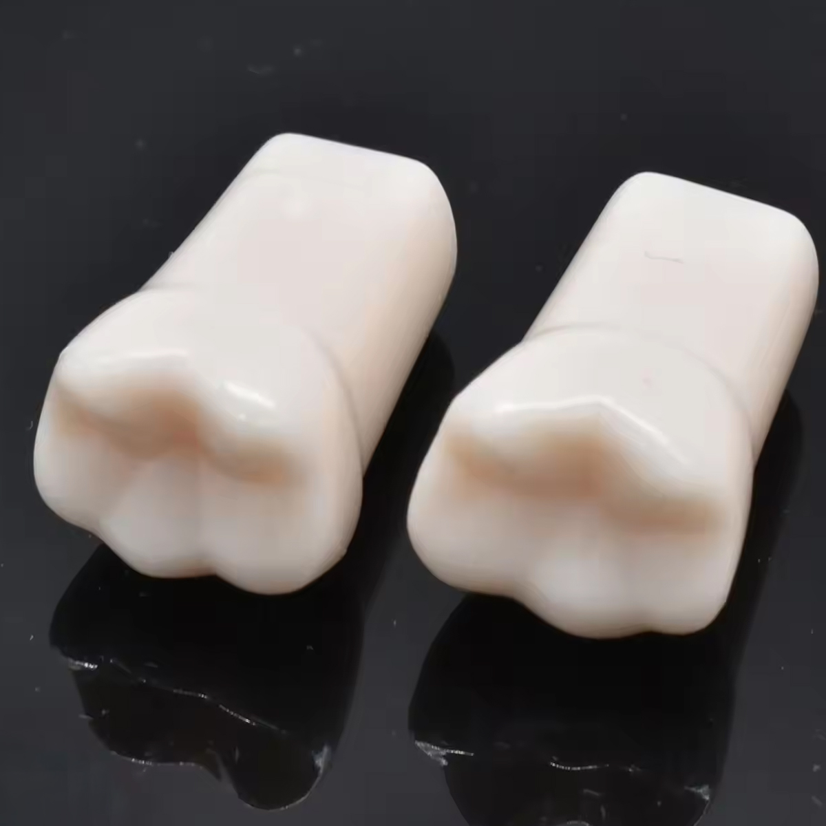 iDENTical Typodonts For Nissin Type Jaw Set TJMA09 - Individual