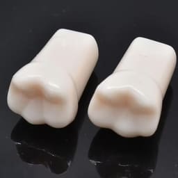 iDENTical Typodonts For Nissin Type Jaw Set TJMA09 - Individual - 5