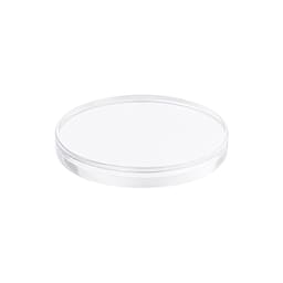 Labodent Dental PMMA Monolayer Milling Blank 18mm - Transparent