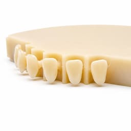 Labodent Dental PMMA Monolayer Blanks - A1 Shade - 4