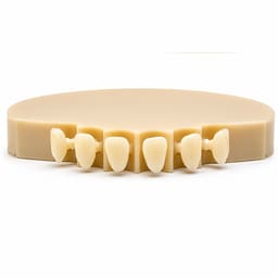 Labodent Dental PMMA Monolayer Blanks - A1 Shade - 5