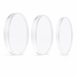 Labodent Dental PMMA Monolayer Blanks - Transparent