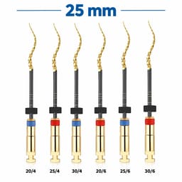 Micro Mega Hero Gold Rotary Files -25mm (Pack of 6) - 2