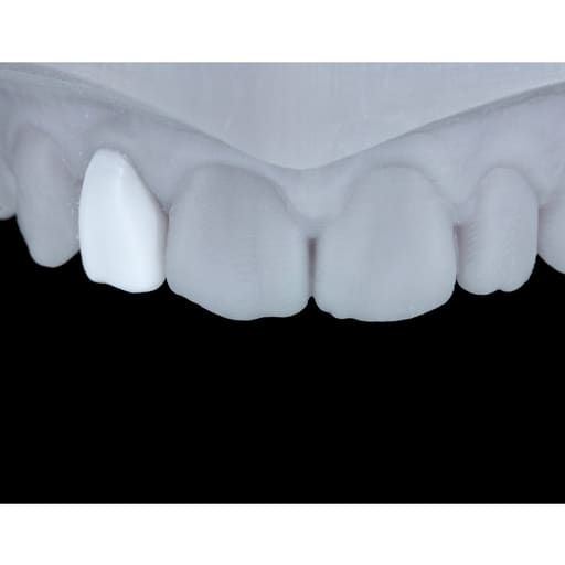 Maarc Mock - Up Wax