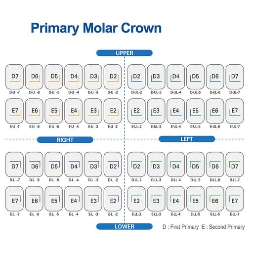 U Ortho Stainless Steel Primary Molar Crown - Assorted Kit (Set of 48)