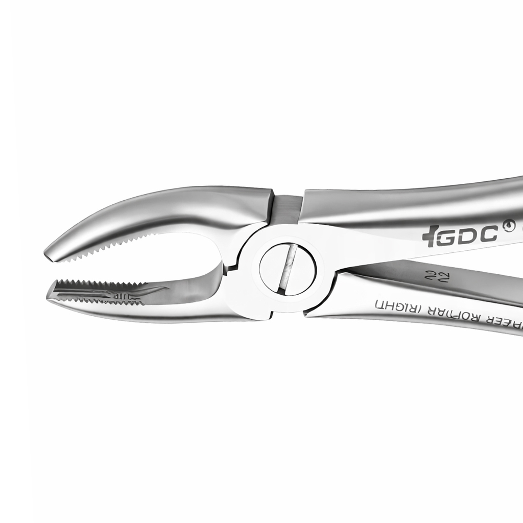 GDC Extraction Forceps Upper Molars Right Premium - FX17P