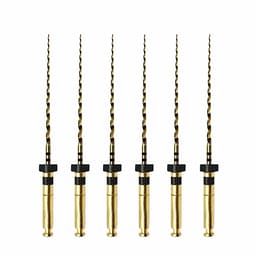 Neoendo Flex Files 21mm 6% #40 (Pack of 6)