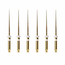 NeoEndo S Rotary Files 21mm 4% #17