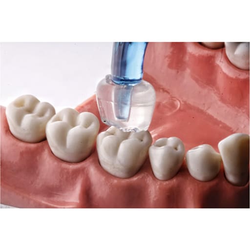 Dental Occlusal Stamp Kit | For Posterior Composite Restorations (16Pcs/Pack)
