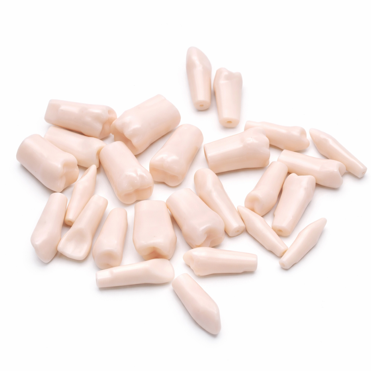 iDENTical Typodonts For Nissin Type Jaw Set TJMA09 - Individual